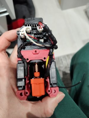 IMG_20260211_205333078 (Large).jpg