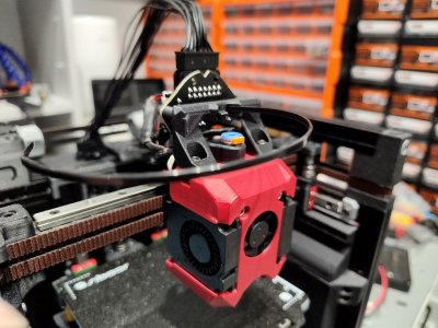 IMG_20260211_205930063 (Large).jpg